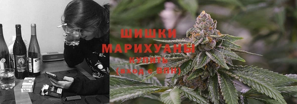 спиды Инта