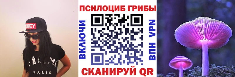 Галлюциногенные грибы Psilocybe  Калачинск 